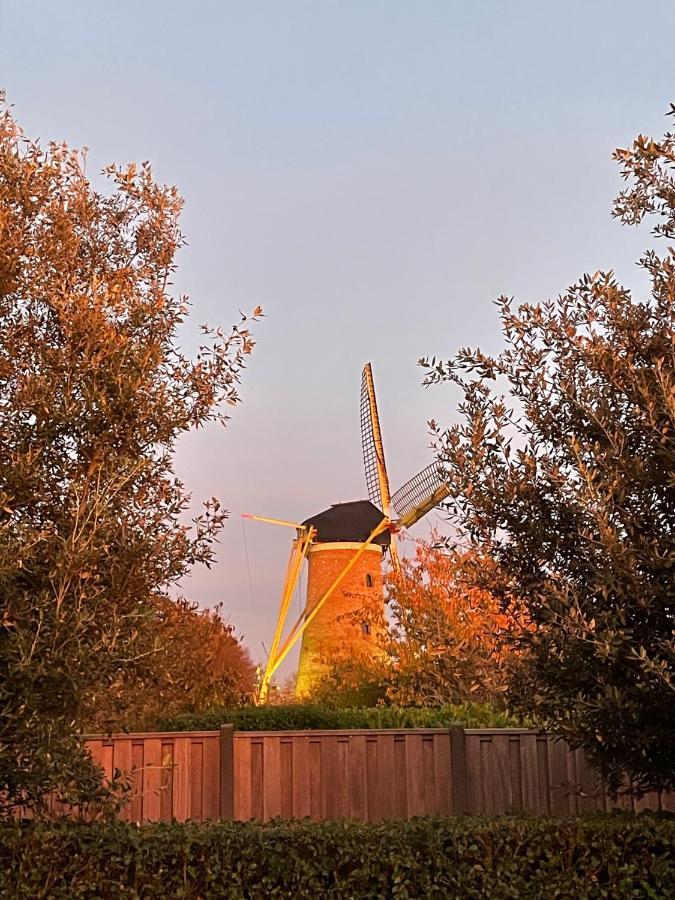 Gastenverblijf Bij De Buuren Dirksland Exteriör bild