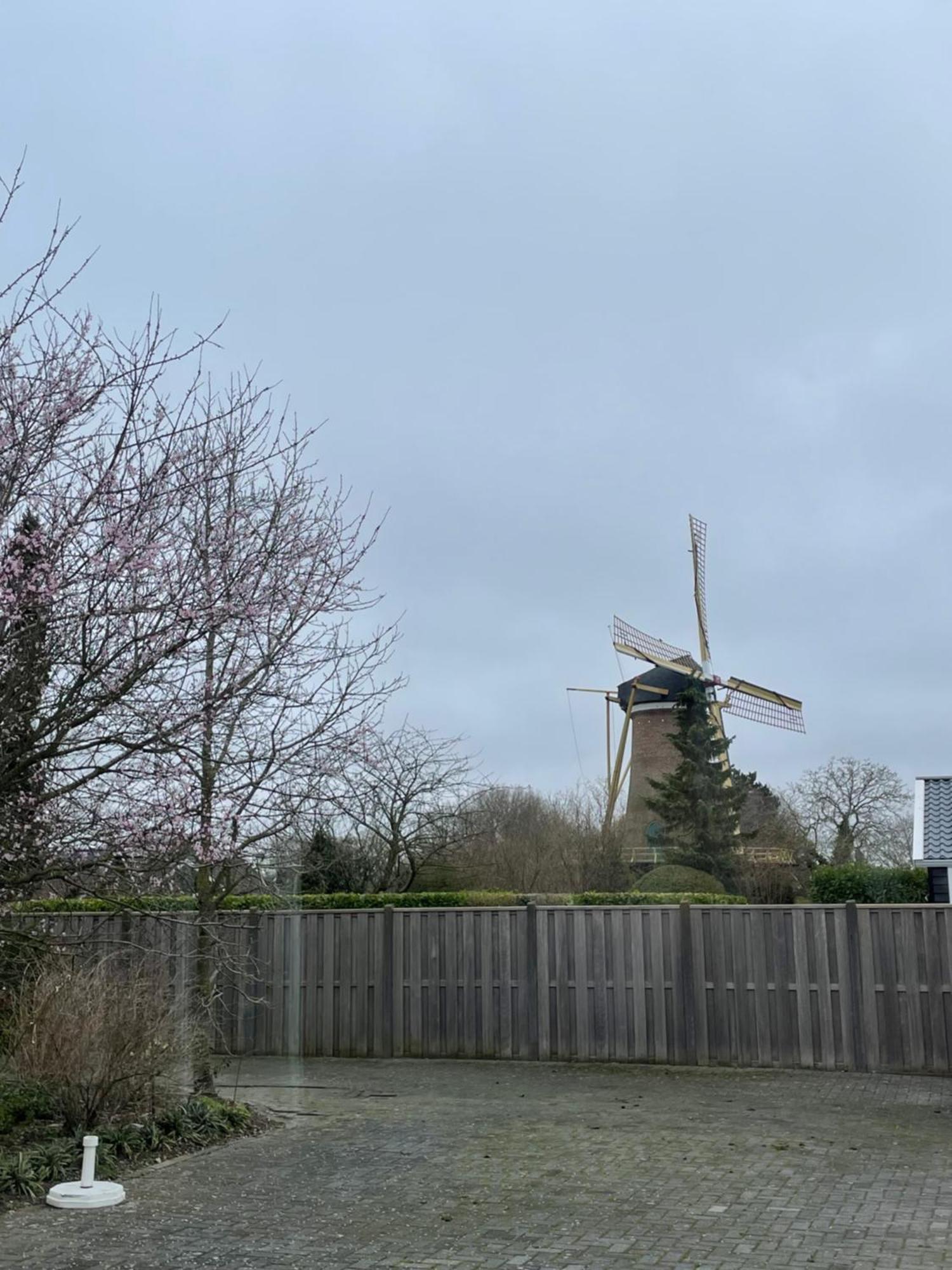 Gastenverblijf Bij De Buuren Dirksland Exteriör bild