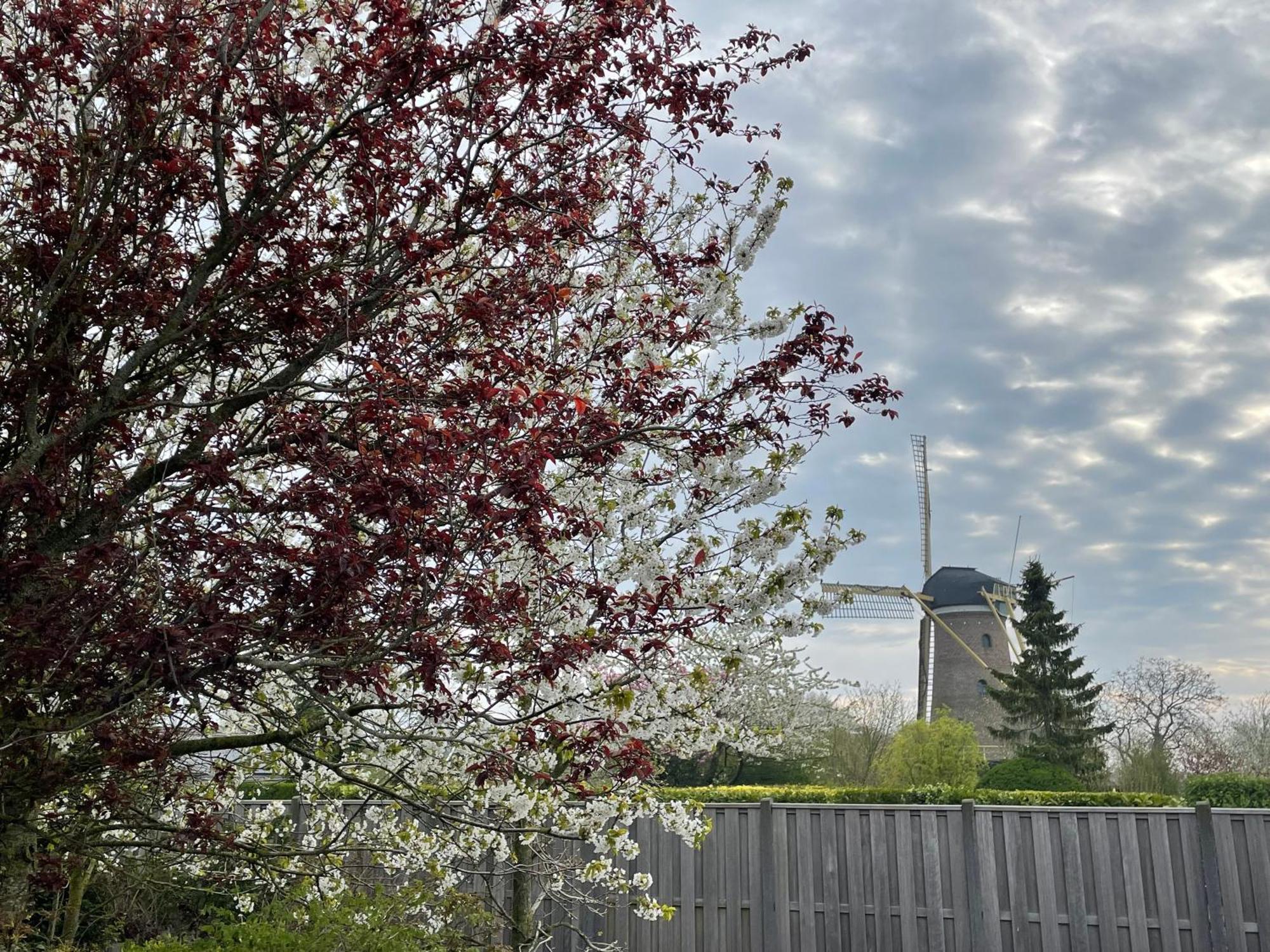 Gastenverblijf Bij De Buuren Dirksland Exteriör bild